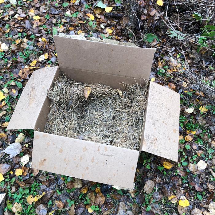 My haybox was just cardboard full of straw on the bottom. 