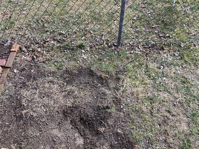 The spot where the fire pit will be dug.