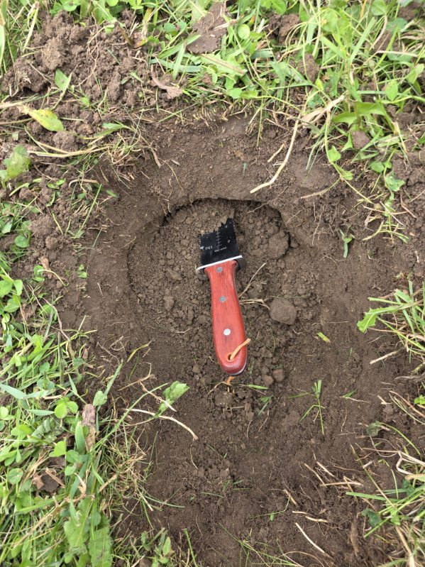 Digging with my hori hori