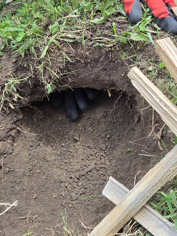 Black gloved fingers poking thru vent hole
