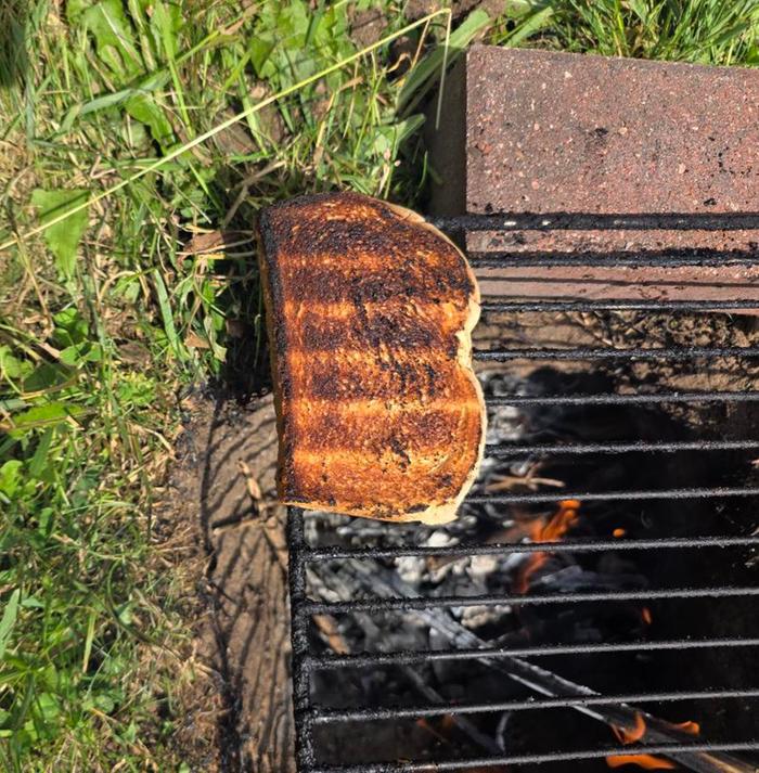 Toast 