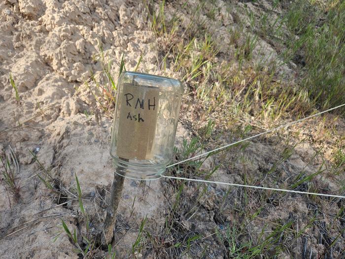 Label on a stake