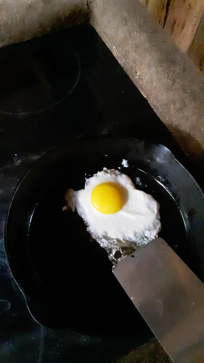 Starting egg