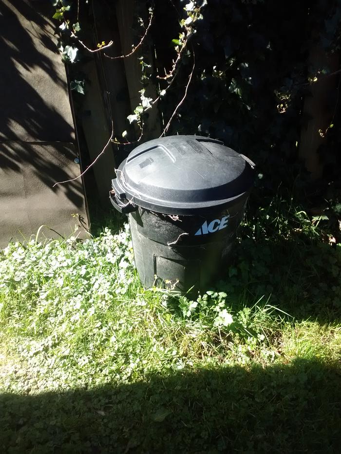 [Thumbnail for Trash-can-in-situ.jpg]