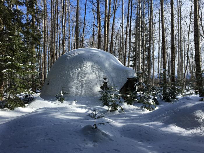 geodesic dome in snow