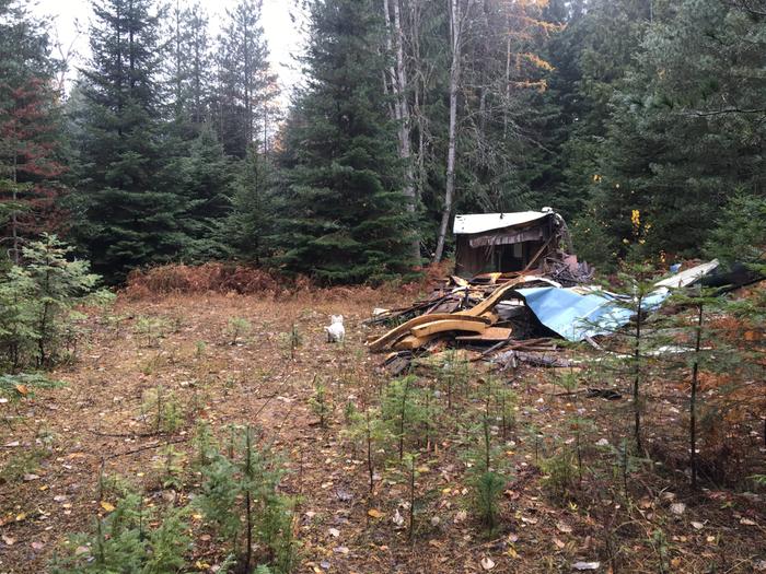 The clearing with abandoned travel trailer that collapsed