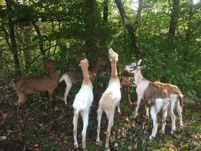 [Thumbnail for IMG_2544.JPG]