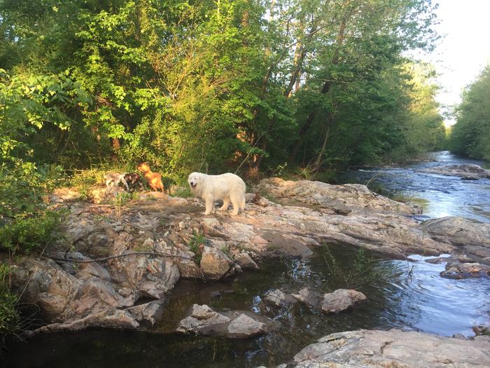 [Thumbnail for IMG_1611.JPG]