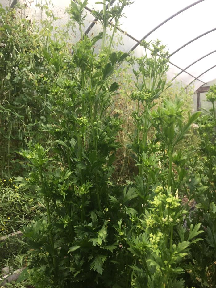 [Thumbnail for IMG_1738.JPG]