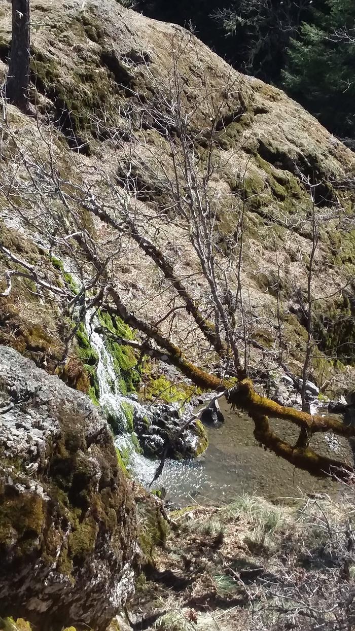 [Thumbnail for 20171231_210410.jpg]