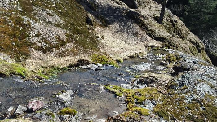 [Thumbnail for 20171231_211023.jpg]