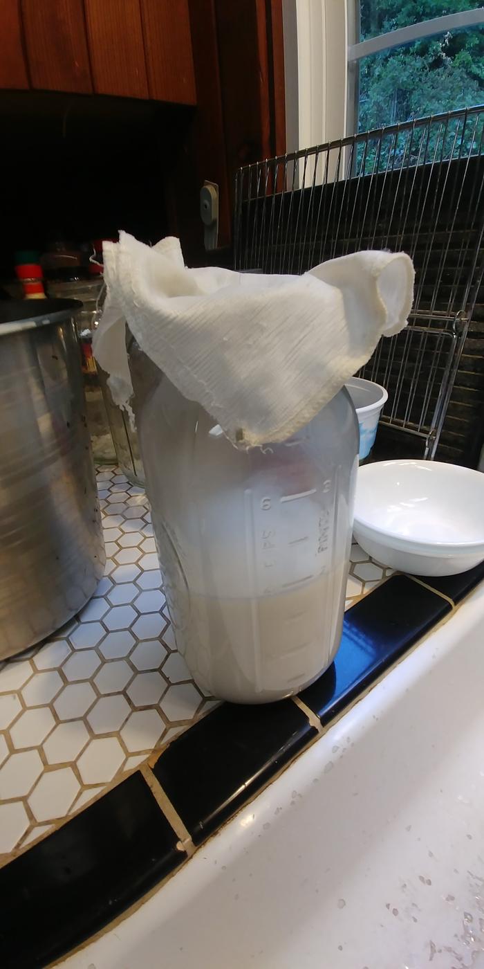 Half of a 1/2 gallon or 1 quart milk