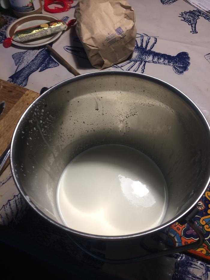 Milk Pail without the nut bag on it