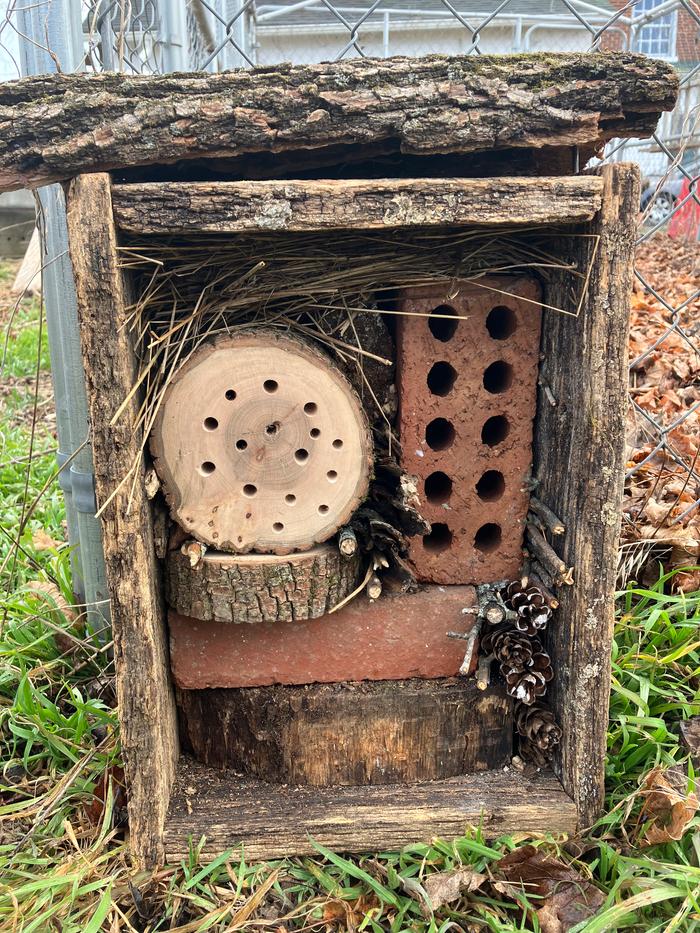 insect hotel behind the compost/garden area