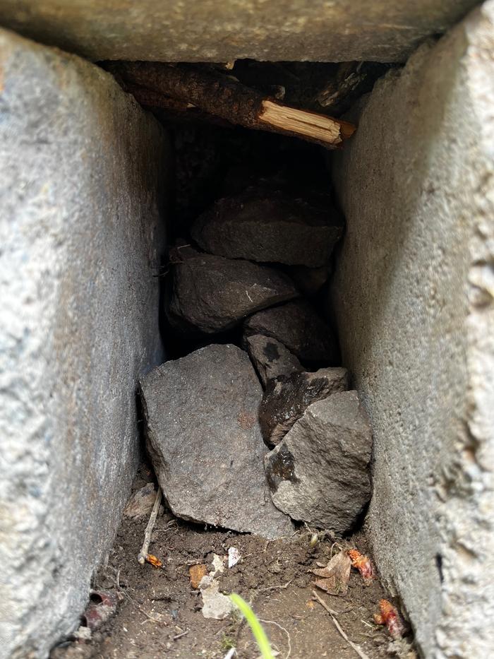 Interior rock pile for earwigs
