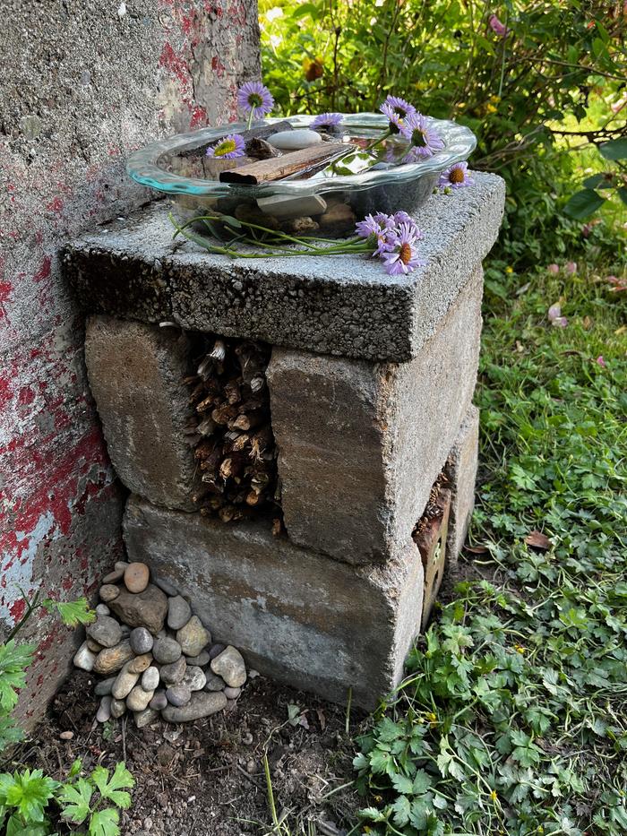 Side view featuring bark and deadwood for beetles, centipedes, spiders; exterior rock pile for earwigs and other creepy-crawlies