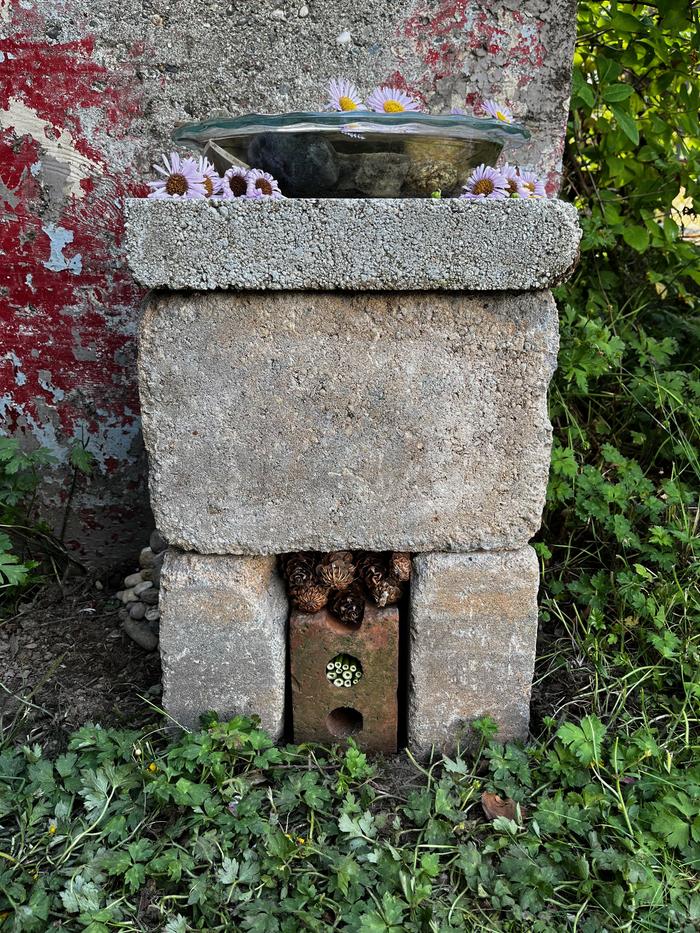 Front view featuring fir cones, bamboo tubes, and brick voids... Partly for decoration but also in the hope that miscellaneous bugs or solitary bees might be into them