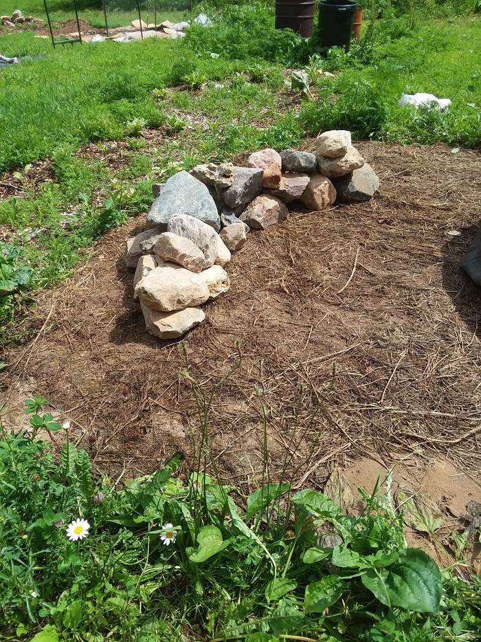 a pile of rocks on a dirtpatch with grass and daisies around it