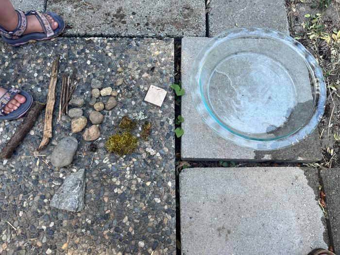 Starting materials. We added more rocks as we went along.