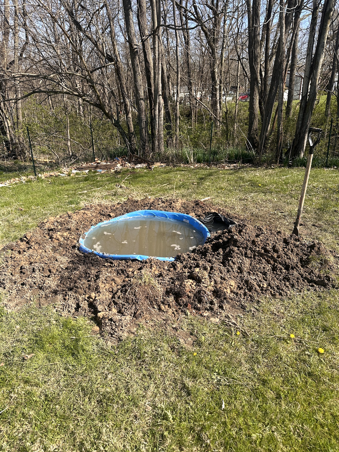 Under construction: I dug it in, leveled the dirt I moved to support plants that emerge and from seed, and framed it with urbanite.