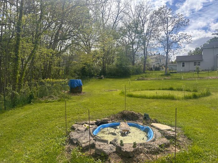 Proximity to hives: From here, you can see it is a good bit away from my beehives, so they should use it to drink. If they don't, I'm sure other bees will.