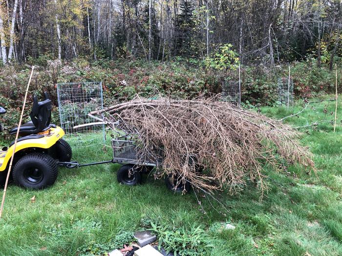 I collected five carts like this from around the nearby woods-edges and concentrated them here. 