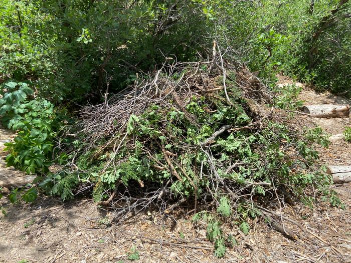 brush pile under construction