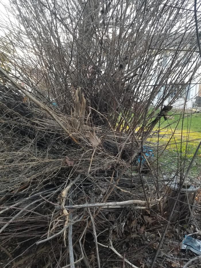 daughter behind pile