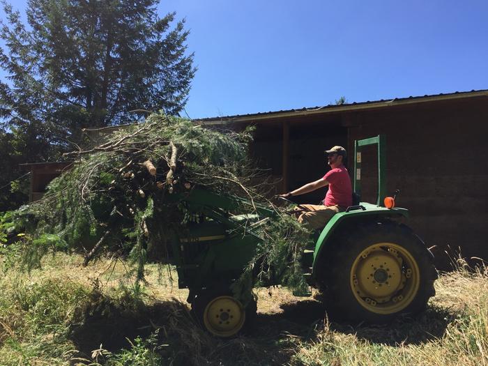 Hauling brush