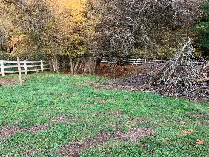 Brush pile far away