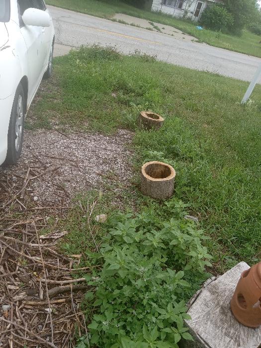 Heres a before, I find toads in my driveway alot so this garden line is for them. Heres its start. I put down two pots before realizing I should take pictures! (Habitat 1 before)
