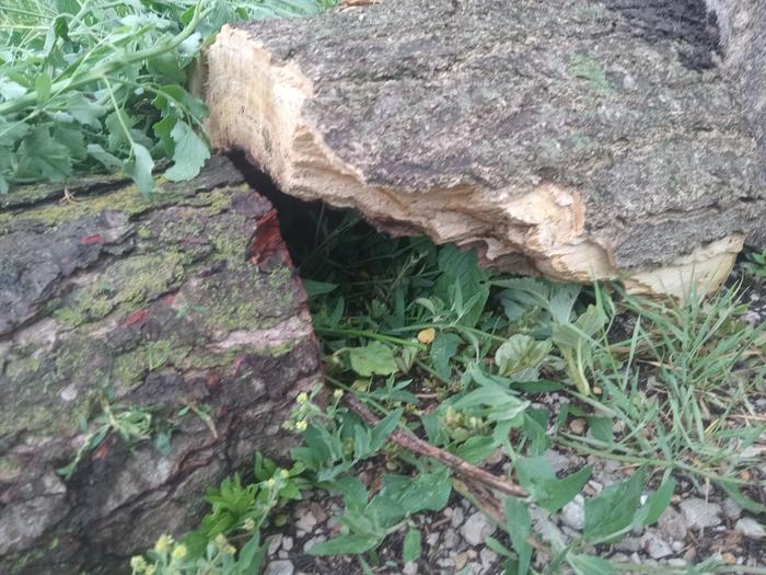 Close up of some of the nooks and crannies (habitat 1 after)