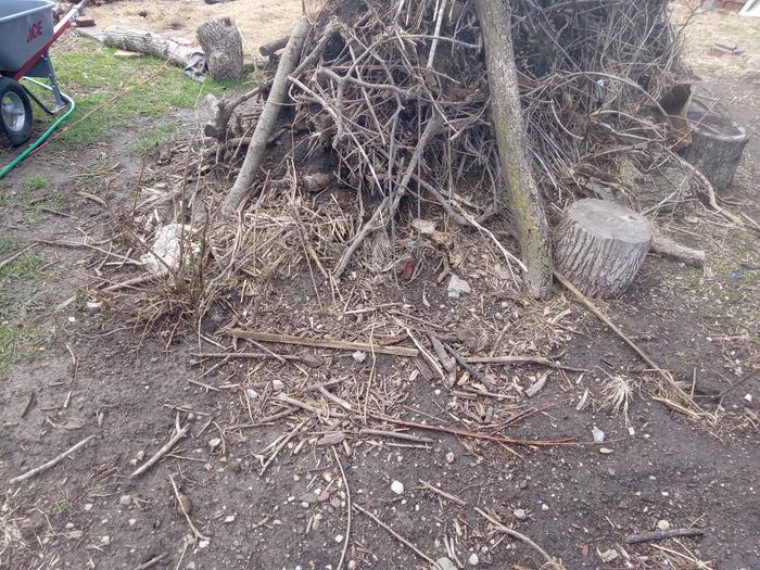 Habitat 2 before bare hugle side 