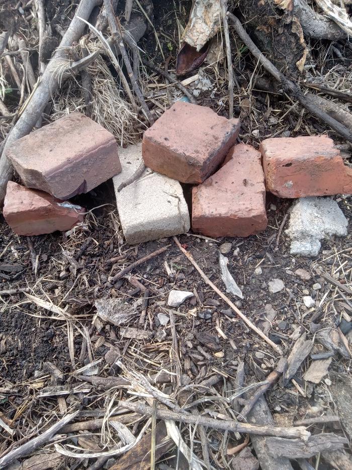 Habitat 2 after. Some staked up bricks on the hugle mound 