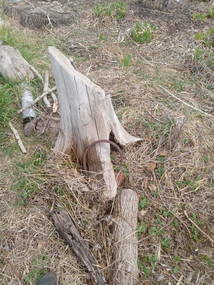 Habitat 3 and 4 before