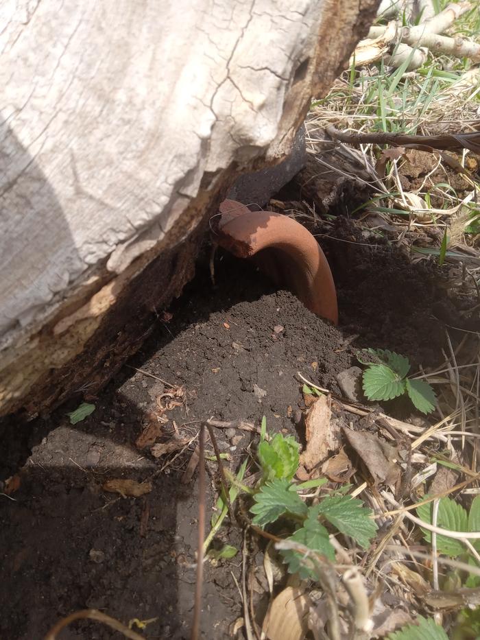 Habitat 4 after. Inside and under the tall log. The tall log is hollow on the inside and now toads can get into it 