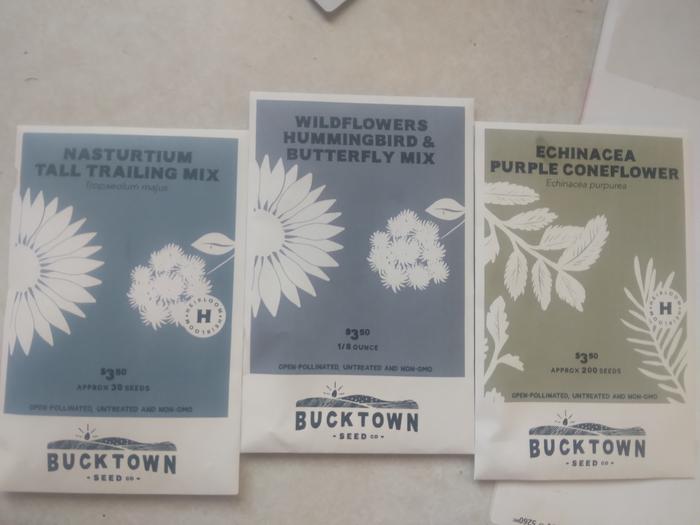 seed packets purchased