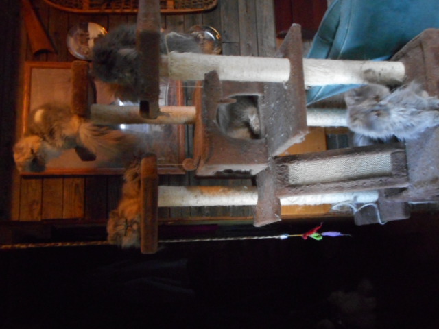 [Thumbnail for DSCN0252.JPG]