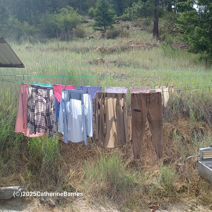 [Thumbnail for BB-do-laundry-by-hand..-clothes-on-drying-line.jpg]