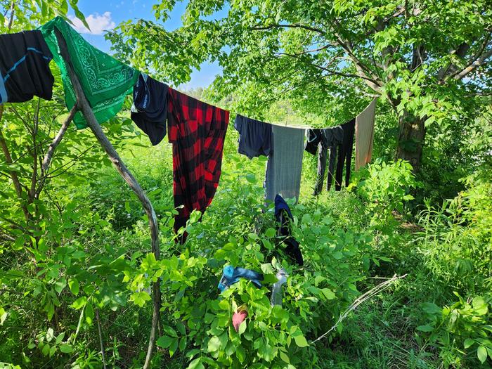 drying 1/2