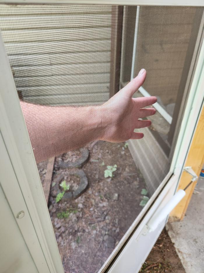 Screen looked invisible, hand for visibility and proof of replaced screen 