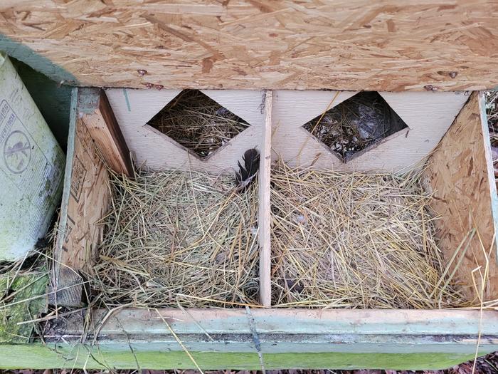 Two dirty nest boxes.