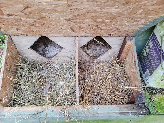 Two more dirty nest boxes.