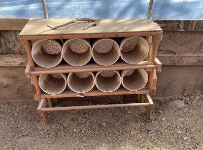 the dirty nest boxes - I would not want to hang out there either