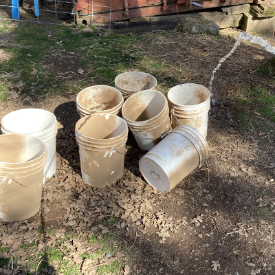 dirty nest box buckets about to be washed