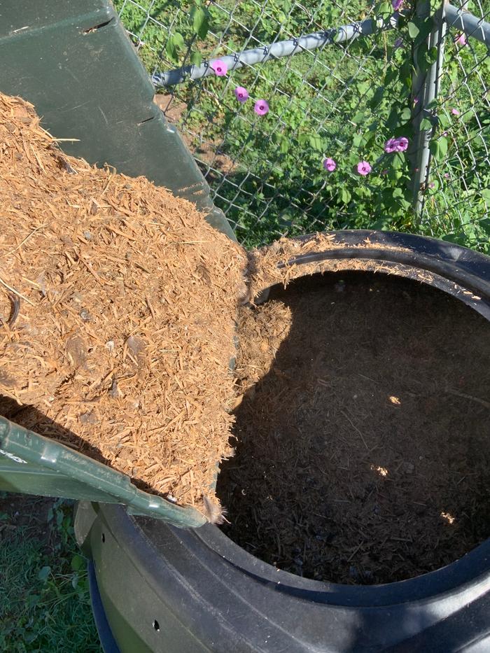 Old bedding going into the compost bucket