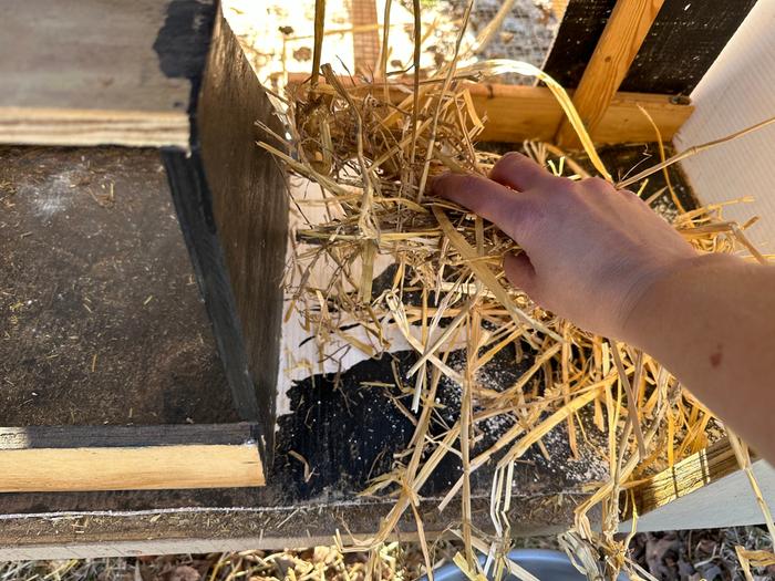 adding straw