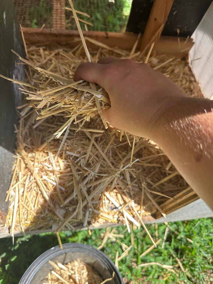 adding straw