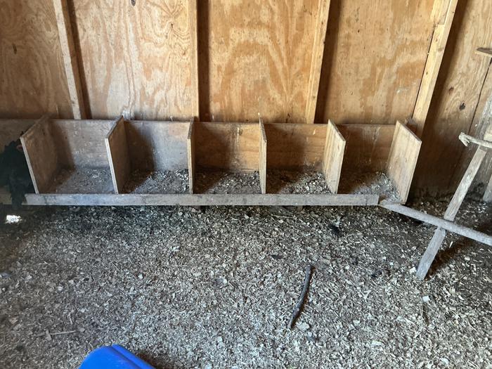 The dirty nesting boxes