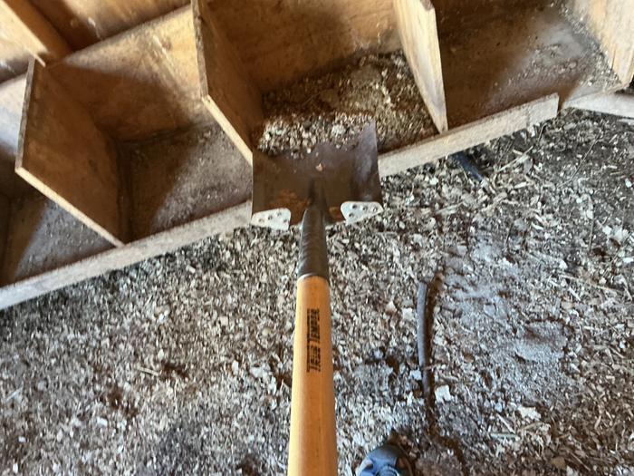 Me cleaning them out with a shovel